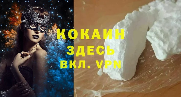 мяу мяу мука Коряжма