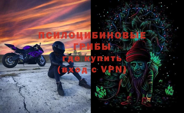 мяу мяу мука Коряжма