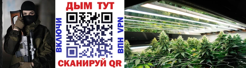 Бошки Шишки OG Kush  Купить закладки  Радужный 